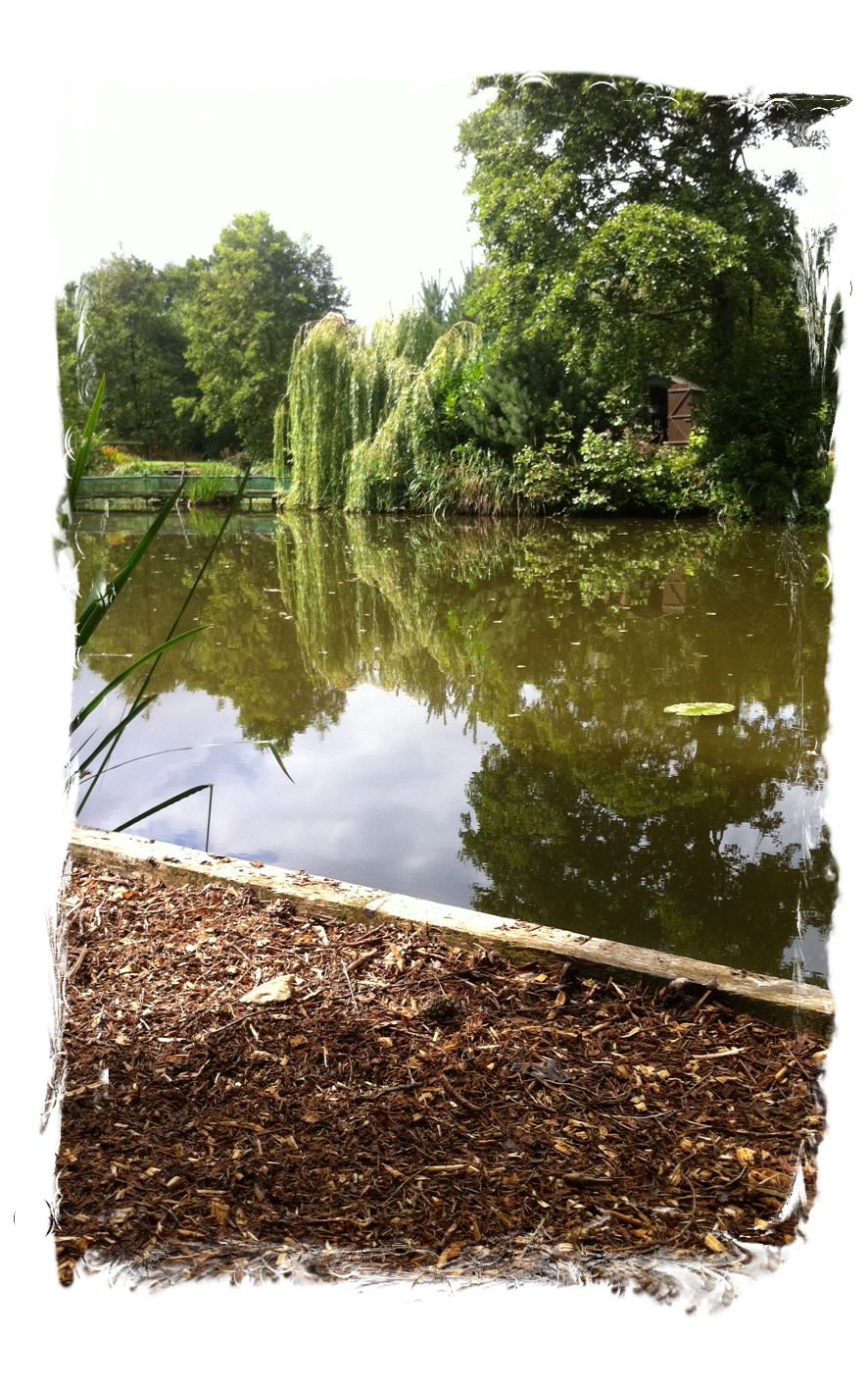 Carp view tetley angling fishing